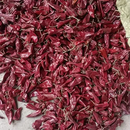 Wholesale Yidu Chilli Beijinghong Dried Chili