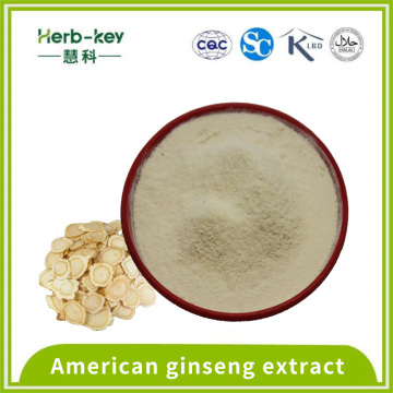 Amerikanischer Ginseng extrahieren 80% hohe Reinheit Saponinpulver