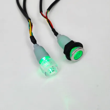 Modern Style Spa Light LED Customizable Bathtub Ambient Lighting