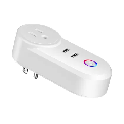 Wireless Echo 240V Wall Power Zigbee USB Home US Smart Outlet Wifi Socket Plug TUYA
