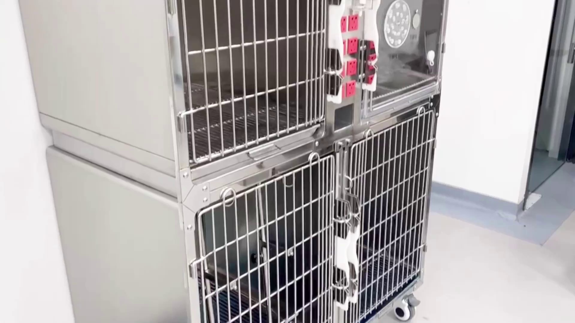 Advanced Stainless Steel Physiotherapy Cage for Dogs