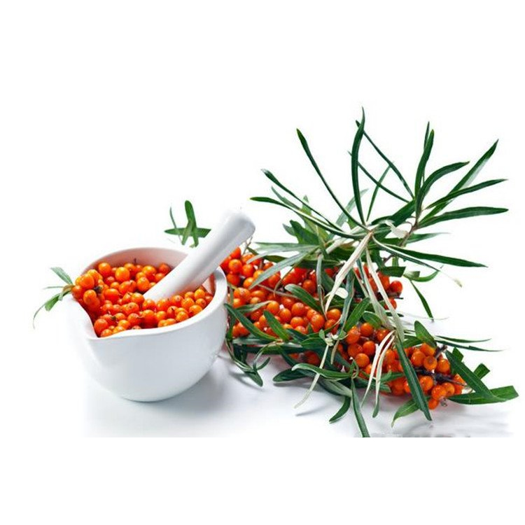 Sea Buckthorn Powder