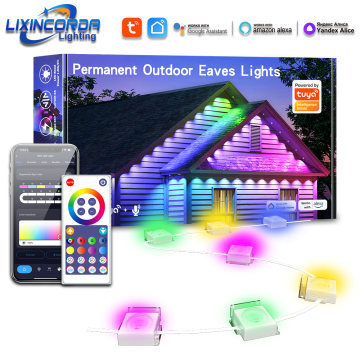 30M Outdoor Eaves LED Lights String with Bluetooth and Alexa/Google Assistant Control
