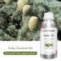 Hot Selling Pure Natural Cedar Wood Oil Best Price