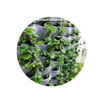 Vertical Garden Wall Planters: Felt Living Wall Planters and Outdoor Wall Flower Pots" 

However, if you prefer a more concise title for a search engine, consider:

"Outdoor Wall Planters & Vertical Garden Felt Planters