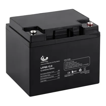 LiFePO4 battery 12.8V 60Ah 768Wh LFP lithium battery