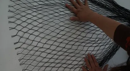 pp plastic orchard protection bird net