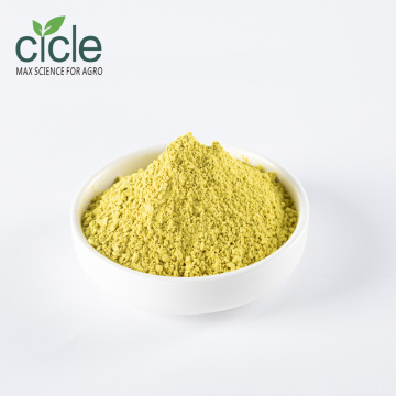 Natural Quercetin 95% Herbal Extract