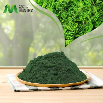 Wholesale Organic Spirulina Powder