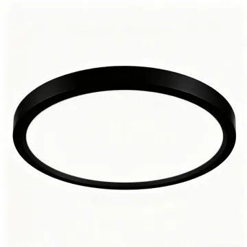 Soft Light LED Ceiling Fixture