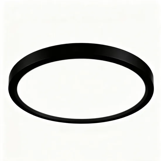 Soft Light LED Ceiling Fixture