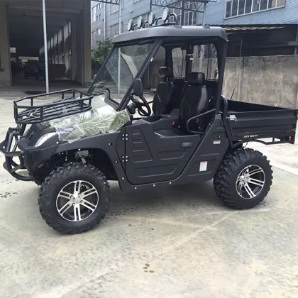 800cc 4x4 Dune Buggy/UTV
