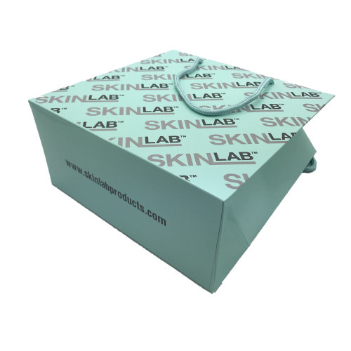Custom design paper craft packaging bag