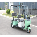 Enclosed electric passager trike