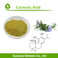 Salvia japonica extract carnosinezuur 20% poeder