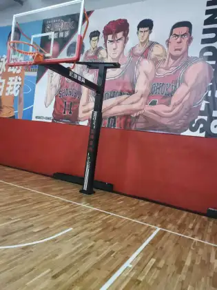 Fixed single-arm basketball hoops