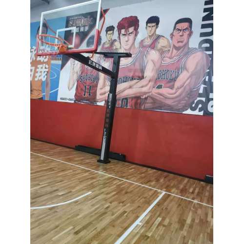 Fixed inground basketball hoop Stand for school