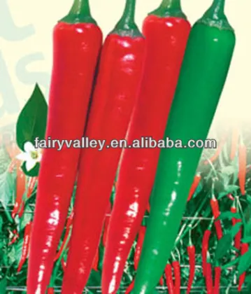 Red Sharp Pepper Seeds/Red Sharp Chili Seeds For Cultivation-Redwood