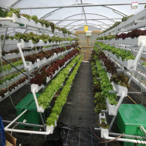 Hydroponic menanam sistem menara menara taman NFT channel