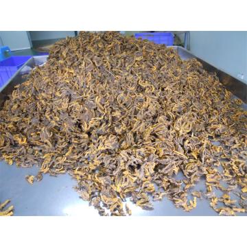 Famous Chinese herbal medicine Huanglian