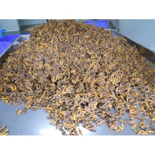 Famous Chinese herbal medicine Huanglian