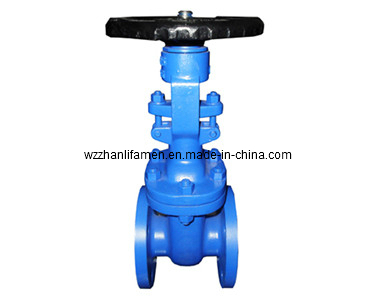 DIN Cast Steel Gate Valve F4 (Z41H-F4)