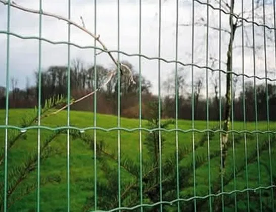 Holland Wire Mesh/wave-shaped wire mesh