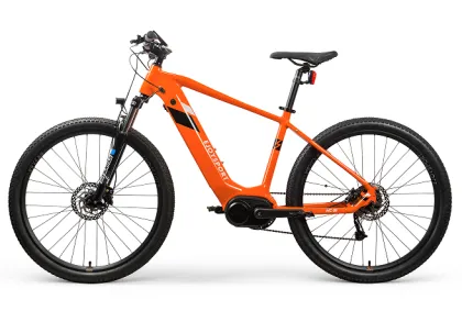 Customized all mountain haibike