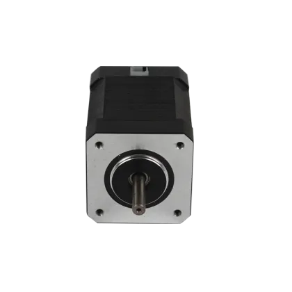 36V 24V Brushless DC Motor 42mm Electric Brushless DC Motor