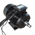 5 kW 60VDC 1800rpm Motor BLDC sans balais sans pinceau