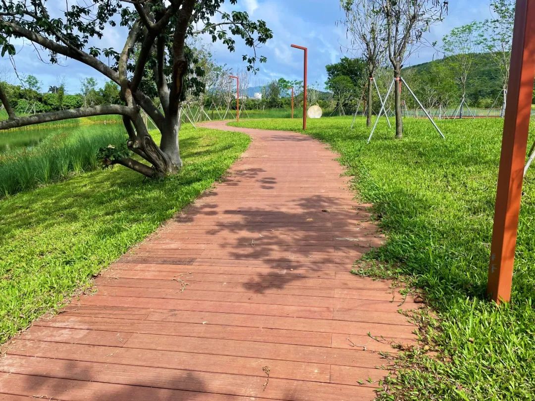 bamboo outdoor handrails 