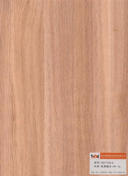 Wood Veneer Paper