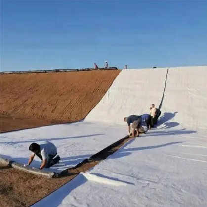 Geosynthetic Clay Liner (GCL) for Bentonite Clay Liner Waterproofing