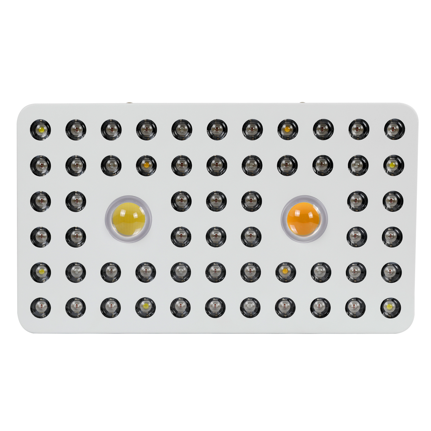 COB LED Grow Light (7)