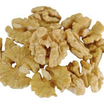 Nuez de nuez de burbuja grande de Yunnan de primera calidad