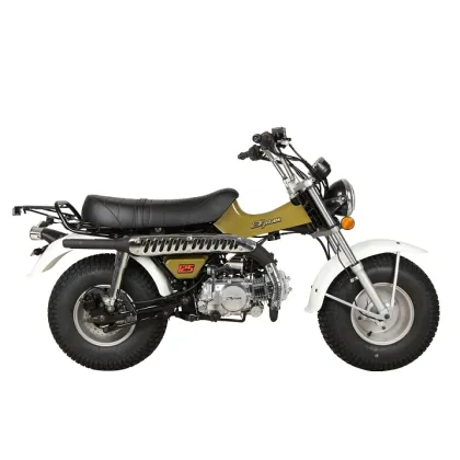 SKYTEAM 125cc E5 4 Stroke T-REX RV90 Beach Motorcycle (EEC Euro5 Euro4 Approved)