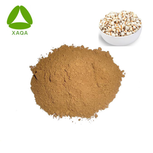 Red Clover Extract Herbal Extracts Coix Seed Extract Powder Manufactory