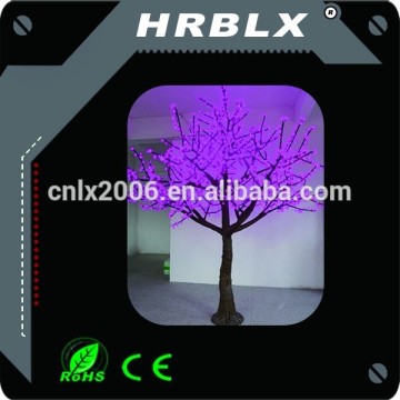 street outdoor cherry blossom tree led