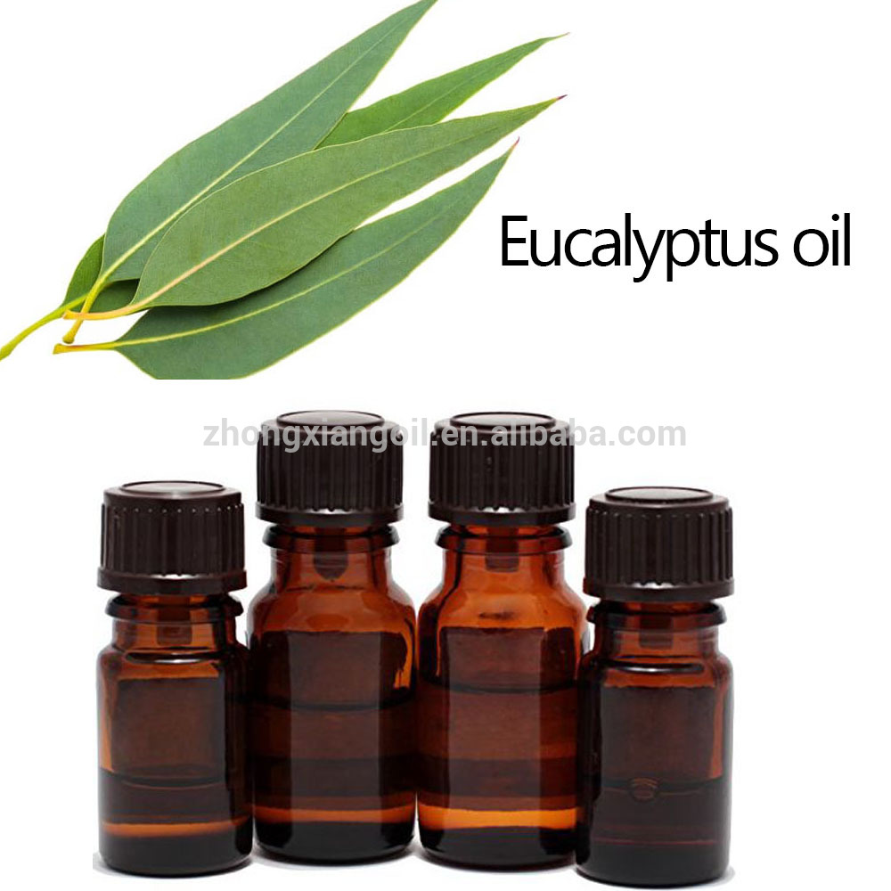 Bulk Eucalyptus mafuta ya kiwango cha juu cha matibabu ya kiwango cha juu