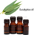 A classe terapêutica a mais de alta qualidade do óleo maioria do eucalipto