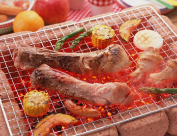 barbecue wire mesh (factory)