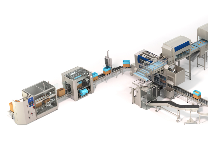 Food Post-Packaging Production Line