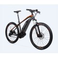 Customized Electric Bike Pedal Assist