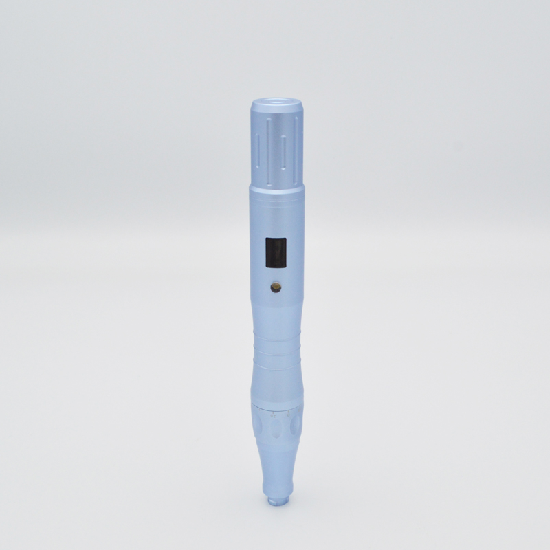 Digital 6 Speeds Medical Skin Care Pen