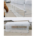 Film Plastic Greenhouse For Vegetable Or Flowers