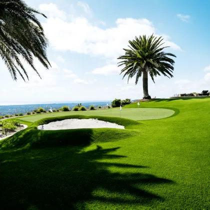 Nature Yard Artificial Grass