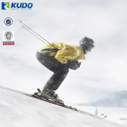 Custom Ski Pole Manufacturer, Popular Heated Ski Pole Grip