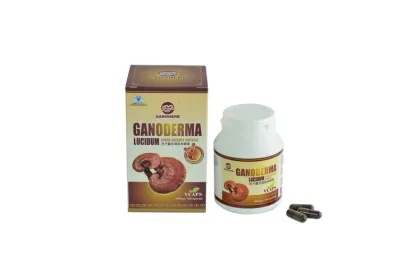 lingzhi powder organic reishi mushrooms extract capsule