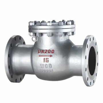 National standard rotary check valve