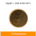 Ajuga Turkestanica Extrait 10% de turcsterone à 10%